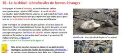 sites_geologiques_jaizkibel_le_ichnofossiles_de_formes_etranges