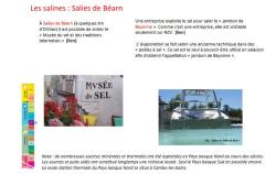 sites_geologiques_salies_de_bearn_les_salines