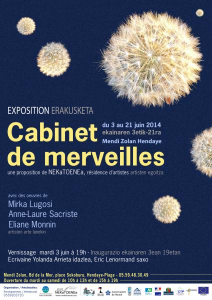 exposition_cabinet_de_merveilles