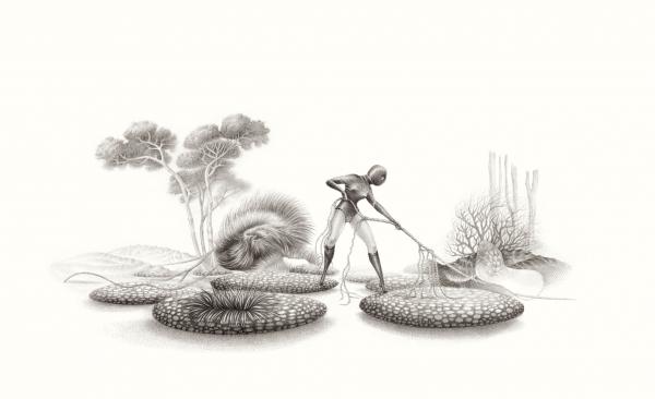 rencontre_publique_a_mirka_lugosi