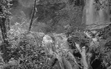anne_lise_broyer_exposition_au_roi_du_bois