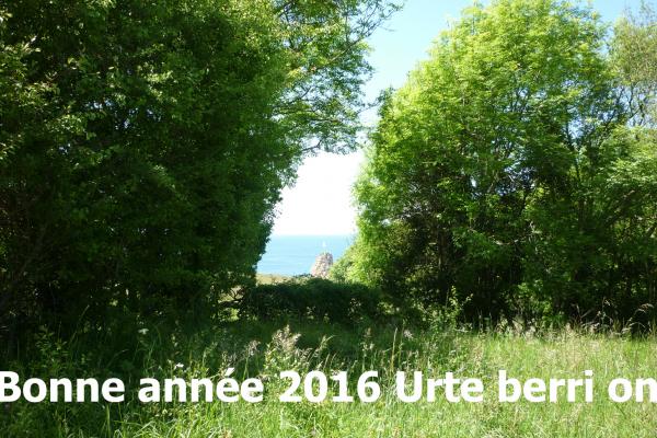 bonne_annee_2016_urte_berri_on