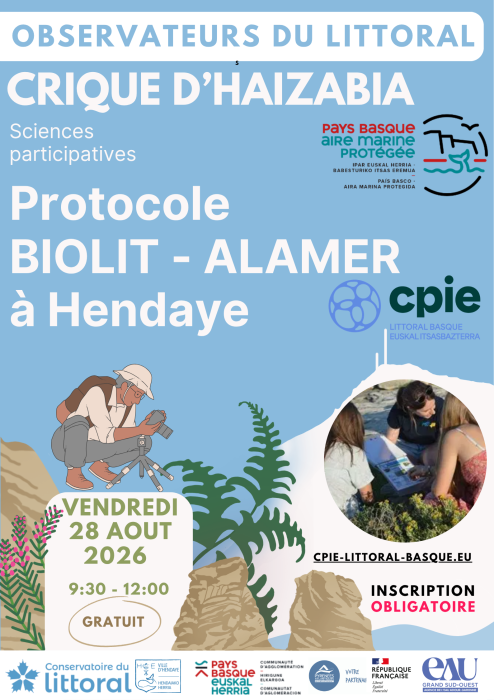 devenez_observateur_du_littoral_basque_et_decouvrez_la_richesse_de_la_biodiversite_action_pavillon_bleu_