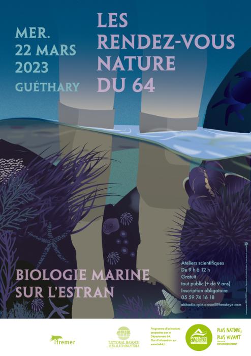 les_rdv_nature_du_64_biologie_marine_sur_l_estran_