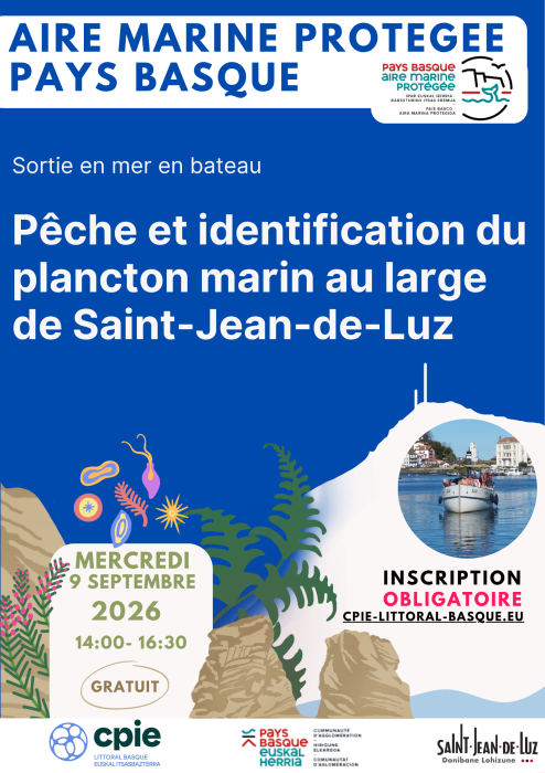 aire_marine_protegee_pays_basque_peche_et_identification_du_plancton_marin_au_large_de_saint_jean_de_luz_