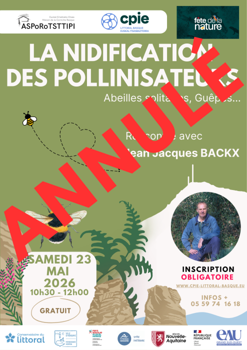 animation_annulee_rencontre_avec_jean_jacques_backx_la_nidification_des_pollinisateurs_