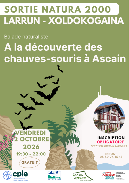 a_la_decouverte_des_chauves_souris_a_ascain
