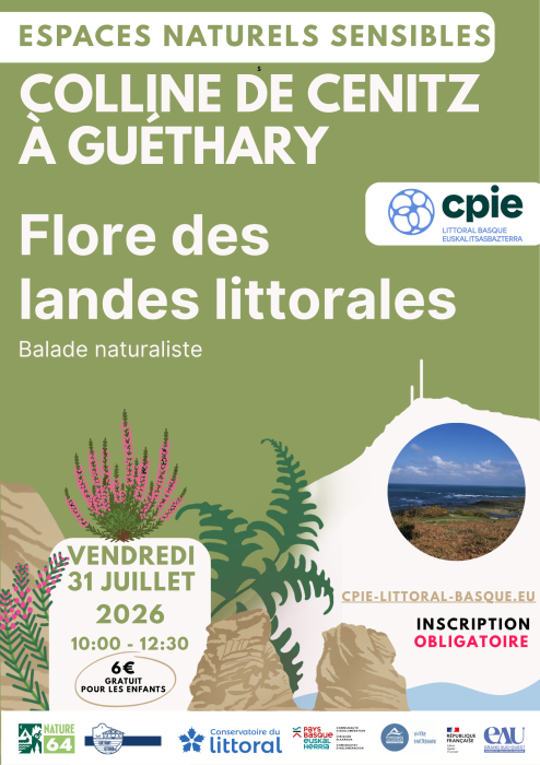 espaces_naturels_sensibles_de_guethary_flore_des_landes_littorales_sur_la_colline_de_cenitz_