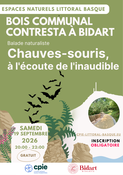 chauves_souris_a_l_ecoute_de_l_inaudible_a_bidart_