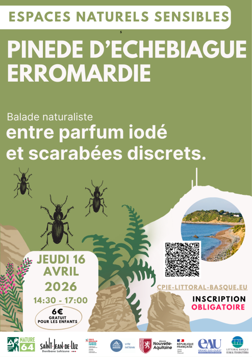 espaces_naturels_sensibles_de_saint_jean_de_luz_pinede_d_etchebiague_entre_parfum_iode_et_scarabees_discrets_