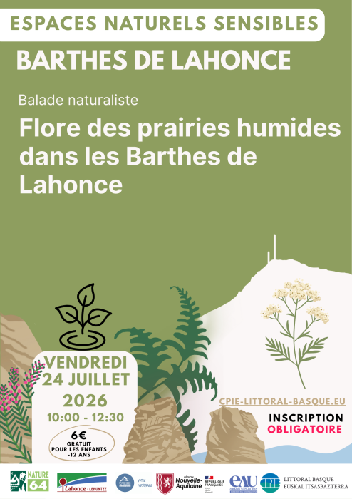 sortie_nature_ens_flore_des_prairies_humides_dans_les_barthes_de_lahonce