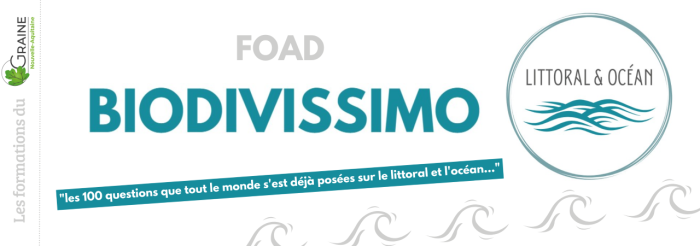 formation_foad_littoral_oc_an_biodivissimo_journ_e_n_1_hendaye