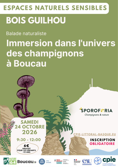 l_espace_naturel_sensible_du_bois_guilhou_immersion_dans_l_univers_des_champignons_a_boucau_