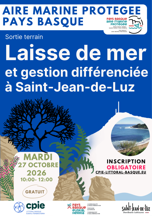 sortie_aire_marine_protegee_pays_basque_laisse_de_mer_et_gestion_differenciee_a_saint_jean_de_luz_