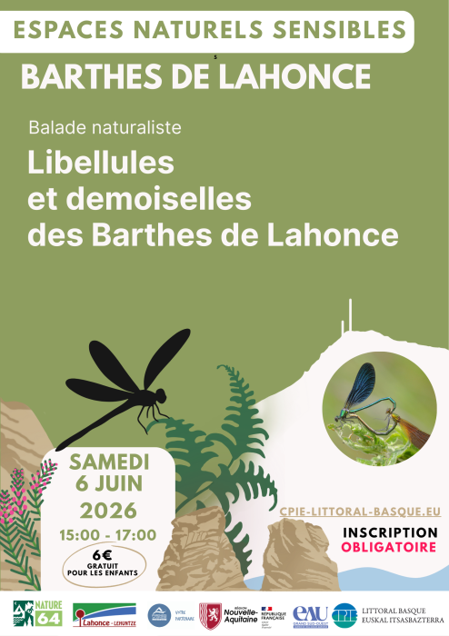 sortie_nature_ens_libellules_et_demoiselles_des_barthes_de_lahonce