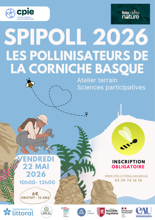 fete_de_la_nature_2026_a_la_decouverte_des_pollinisateurs_de_la_corniche_basque