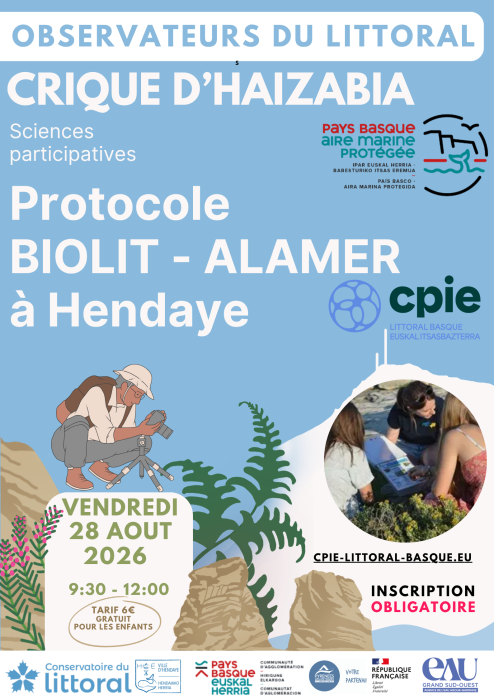 devenez_observateur_du_littoral_basque_et_decouvrez_la_richesse_de_la_biodiversite_action_pavillon_bleu_