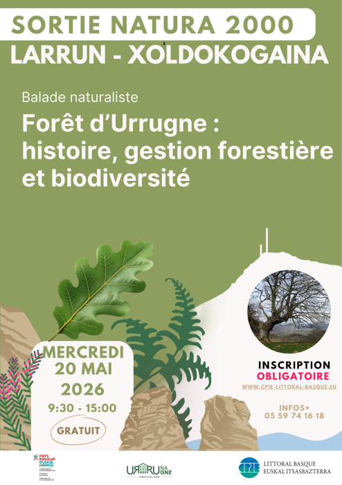 sortie_natura_2000_larrun_xoldokogaina_foret_d_urrugne_histoire_gestion_forestiere_et_biodiversite