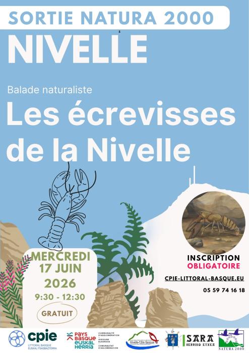 sortie_natura_2000_les_ecrevisses_de_la_nivelle