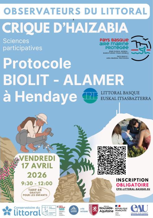 devenez_observateur_du_littoral_basque_et_decouvrez_la_richesse_de_la_biodiversite_animation_pavillon_bleu_a_hendaye