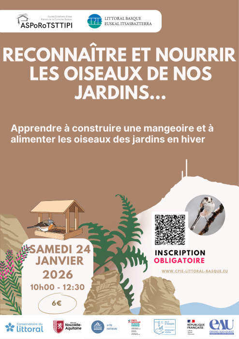 apprendre_a_reconnaitre_et_a_nourrir_les_oiseaux_de_nos_jardins_