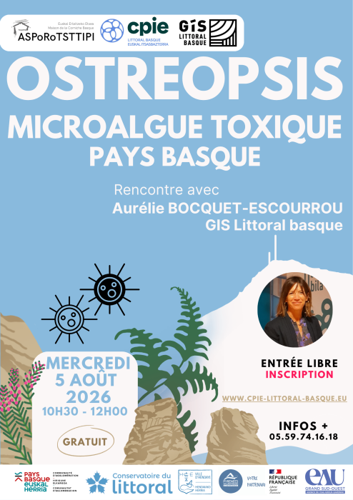 ostreopsis_microalgue_toxique_en_pays_basque_rencontre_avec_aurelie_bocquet_escourrou