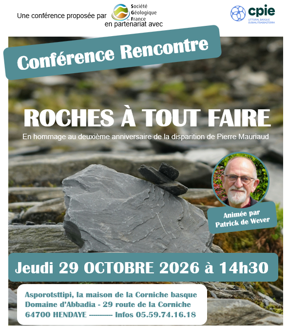 rencontre_avec_patrick_de_wever_roches_a_tout_faire_