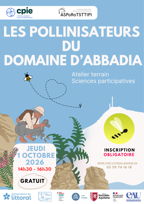 a_la_decouverte_des_pollinisateurs_du_domaine_d_abbadia_a_hendaye